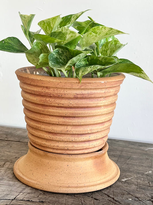 6" Planter |ceramic planter
