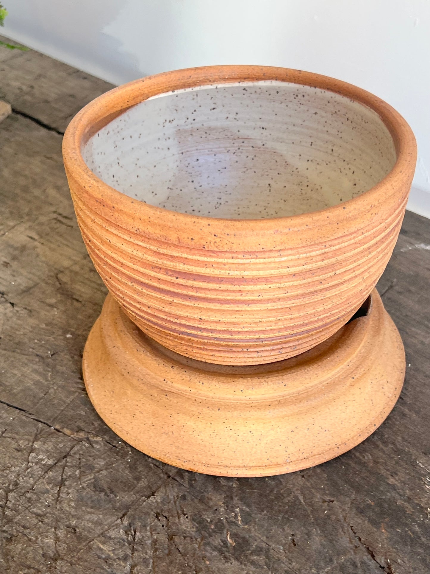 6" Planter|Ceramic planter|plant pot