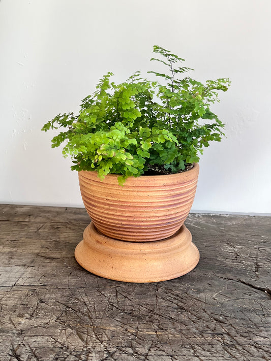 6" Planter|Ceramic planter|plant pot