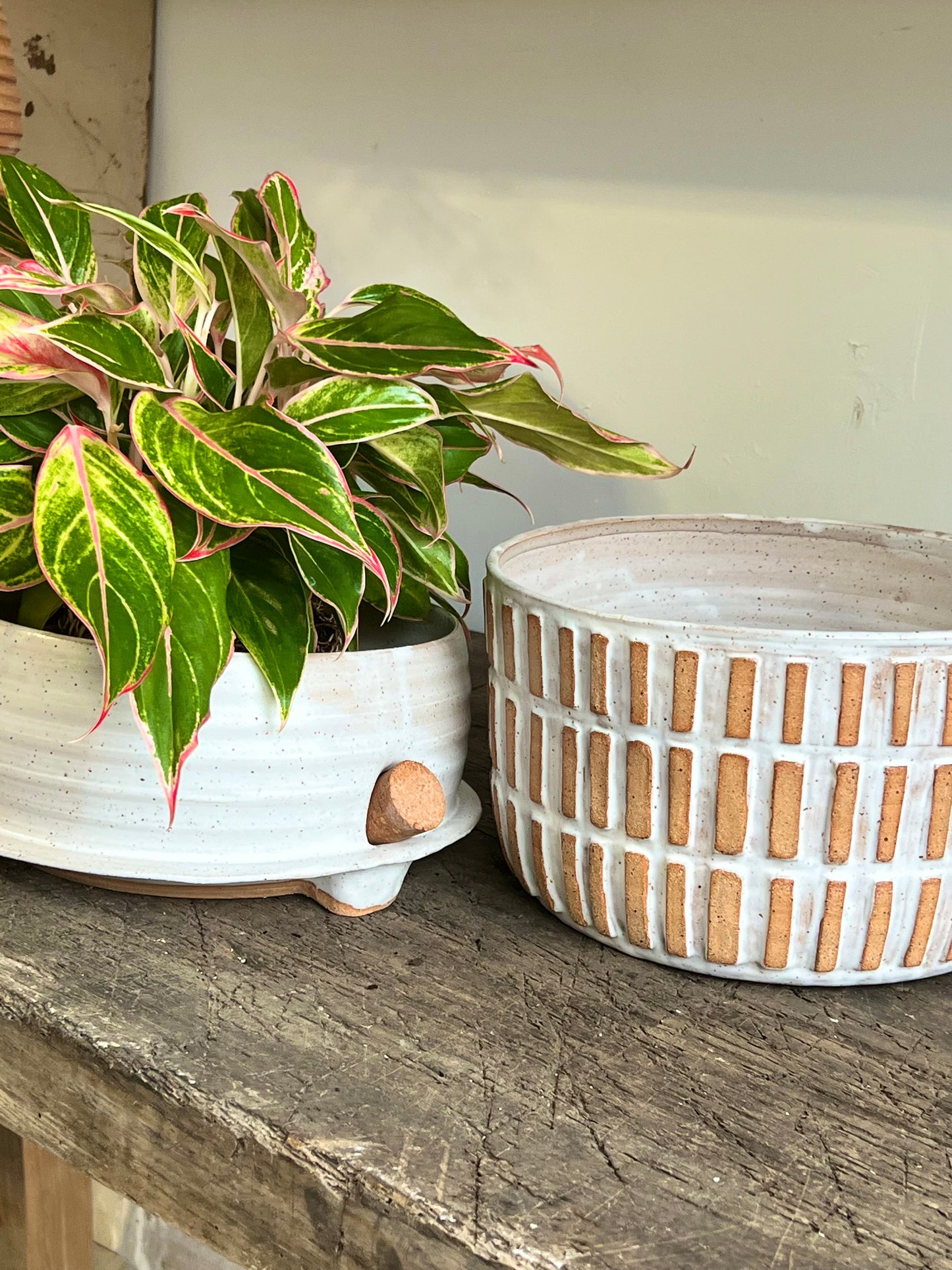 Self watering planter