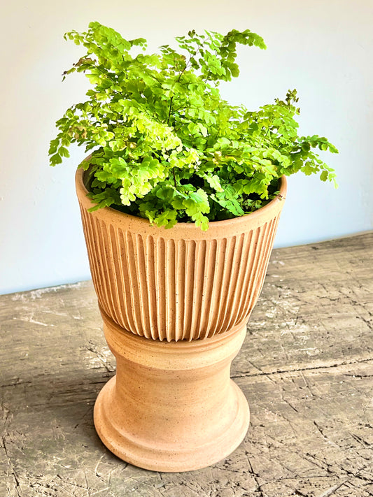 8’ planter|ceramic planter|stoneware planter|plant pots|